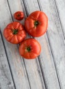 A top down view of four heirloom tomatoes on a wooden table. Royalty Free Stock Photo