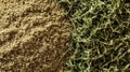 Top-down view of fresh green thyme and ground thyme, showcasing culinary ingredients. Royalty Free Stock Photo