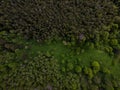 Top down view of green forest, woodland aerial shot. Drone fly over pine trees Royalty Free Stock Photo