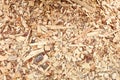 top down view of ground wood chips, background Royalty Free Stock Photo