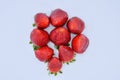 top down view of a group of several tasty fresh red strawberries just harvested and ready to be eaten. The strawberries are put