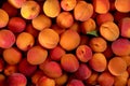 Top down view - heap of apricots, with one small green leaf