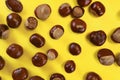 Top down view, horse chestnuts over yellow board