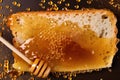 top-down view of a loaf of bread with honey on it