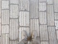 Top down view of male legs in grey trousers and beige sneakers on cobblestone pavement road. Copy space on background.