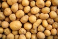 Top down view of many raw, organic, freshly dug potatoes