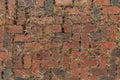 Overgrown Red Brick Road Royalty Free Stock Photo