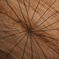 The top-down view of an oak grooves table is a captivating shot for textured background illustrations. (Generative AI