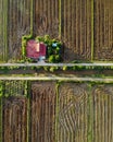 Top down view of paddy field after ploughed. Royalty Free Stock Photo