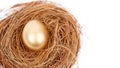 Top down view of shiny golden egg on straw nest Royalty Free Stock Photo