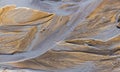 Sulphur springs stream through mud