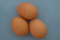 Top down view of three brown speckled chicken eggs on a blue background concept organic, free range Royalty Free Stock Photo