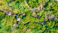 Top-down view of the tropical mangrove forest at natural park at the Landhoo island at Noonu atoll Royalty Free Stock Photo