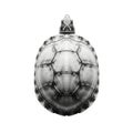 A top down view of a turtle s shell showcasing its intricate geometric pattern Royalty Free Stock Photo