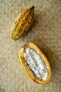 Top down view of two fresh cacao fruit, one opened, one closed