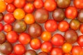 Top down view of a variety of fresh, organic, different color and size cherry tomatoes. Colorful macro food background texture Royalty Free Stock Photo