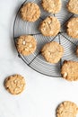 Top down view of white chocolate chip and macadamia nut cookies on a cooling rack. Royalty Free Stock Photo