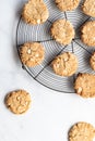 Top down view of white chocolate chip and macadamia nut cookies on a metal cooling rack. Royalty Free Stock Photo