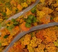 TOP DOWN: White car cruises along road leading through the forest in October Royalty Free Stock Photo