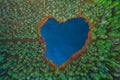 Heart shaped lake in the forest, aerial view