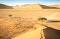 Top of Dune 45 on the way to Sossusvlei Namibia Royalty Free Stock Photo