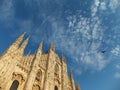 Top of the Duomo Cathedral in Milan against blue sky with a pigeon in flight