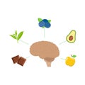 Top five brain foods Royalty Free Stock Photo