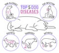 Top five dog diseases. Horizontal medical poster. Royalty Free Stock Photo