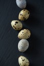 Top flatview of row of quail eggs on black stone surface Royalty Free Stock Photo