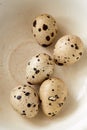 Top flatview of some quail eggs on white ceramic bowl Royalty Free Stock Photo