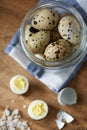 Top flatview view of composition with some quail eggs Royalty Free Stock Photo