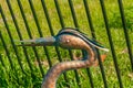 Copper metal statue of a Great Blue heron, neck and head