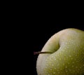 Top of a green ripe apple in drops of water on a black backgroun Royalty Free Stock Photo