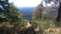 Top of a hill along saanich inlet Royalty Free Stock Photo