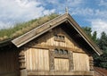 Top of house with grass roof