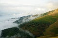 On top of Hyrcanian forest, Northern Alborz Mountains, Iran