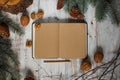 Top image of open book with vintage blank pages and Christmas decorations on a wooden table. New concept. Nuts and christmas trees