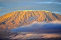 Top of kilimanjaro mountain in the sunrise Royalty Free Stock Photo