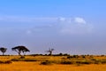 Top of kilimanjaro mountain in the sunrise Royalty Free Stock Photo