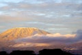 Top of kilimanjaro mountain in the sunrise Royalty Free Stock Photo