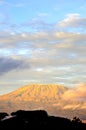 Top of kilimanjaro mountain in the sunrise Royalty Free Stock Photo