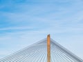 Top of Martinus Nijhoff Bridge with cables and pillars, Netherlands