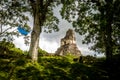 Top of mayan Temple I Gran Jaguar at Tikal National Park - Guatemala Royalty Free Stock Photo