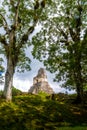 Top of mayan Temple I Gran Jaguar at Tikal National Park - Guatemala Royalty Free Stock Photo