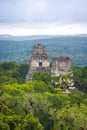 Top of mayan temples at Tikal National Park - Guatemala Royalty Free Stock Photo