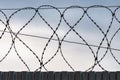 Top of a metal fence and barbed wire Royalty Free Stock Photo