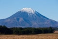 The top of the Mount Doom / Ngauruhoe covered in snow overlooking fields and trees in New Zealand Royalty Free Stock Photo