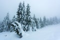 Ice Frost and Rime. Peak of the Mountain. Royalty Free Stock Photo