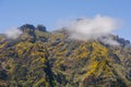 Top of the mountaing in Madeira island, Portugal. Royalty Free Stock Photo