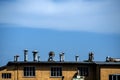 Top of obsolete industrial building